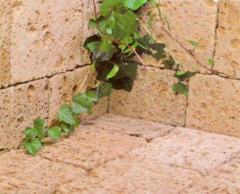Azulejera Cerámica Cordobesa S.L. piedra caliza y arenisca para decoración