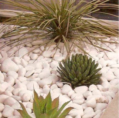 Azulejera Cerámica Cordobesa S.L. piedra de canto rodado para decorar terraza o jardín