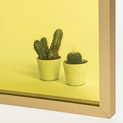 Azulejera Cerámica Cordobesa S.L. vidrios de mamparas Laminado Amarillo