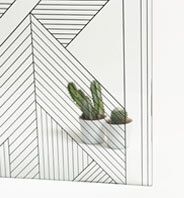 Azulejera Cerámica Cordobesa S.L. decoración imagik en mamparas para ducha