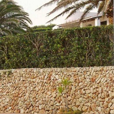 Azulejera Cerámica Cordobesa S.L. piedra de canto rodado para decorar terraza o jardín