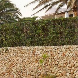 Azulejera Cerámica Cordobesa S.L. piedra de canto rodado para decorar terraza o jardín